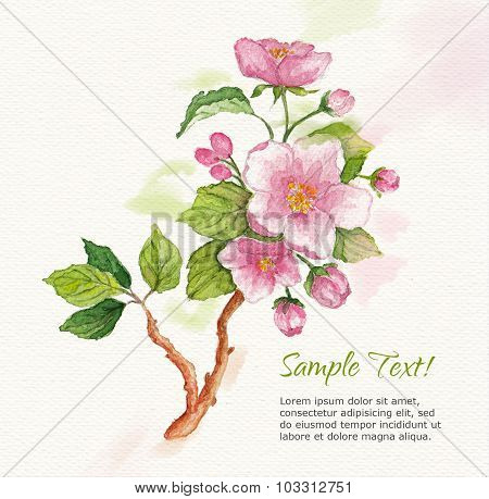 Template for greeting card  whit watercolor cherry blossoms