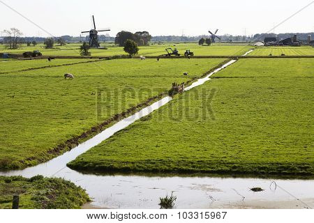 Dutch Landscape