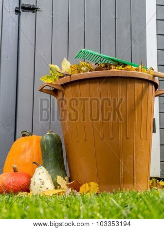Pile of dead fall leaves dumped into plastic bin, pumpkins and fan rake resting on the bin