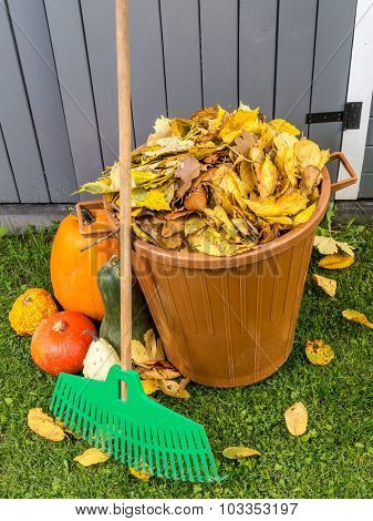 Pile of dead fall leaves dumped into plastic bin, pumpkins and fan rake resting against wooden shed