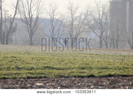 Girl In Field