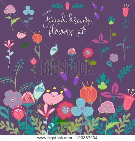 Hand Drawn Flowers Set