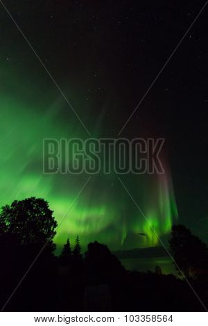Red Aurora Streak Over Kachemak Bay Alaska