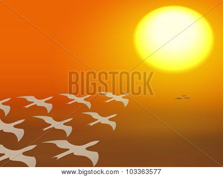 Migration