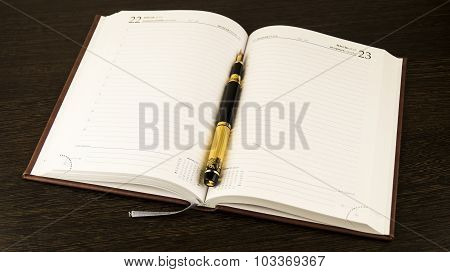 diary and fountain pen