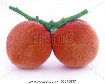 Velvet Apples