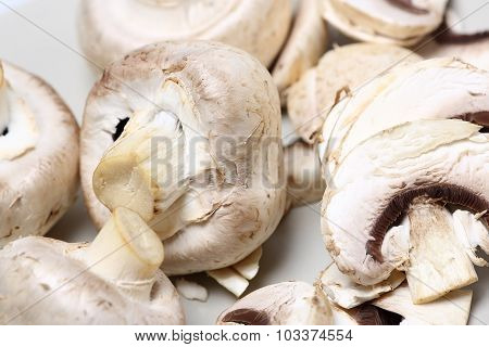 Champignon Mushrooms