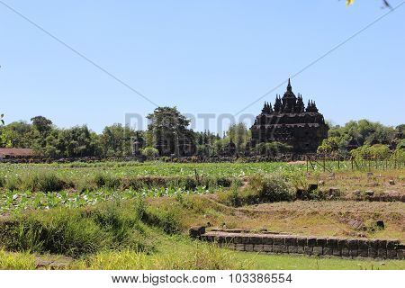 Budhism Temple And Statue in Jogja Indonesia
