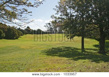 Campo de golf