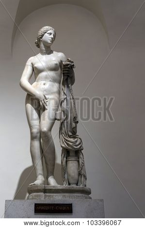 Aphrodite By Cnidus