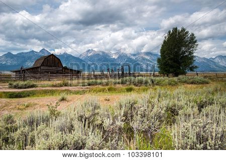 Grand Teton National Park