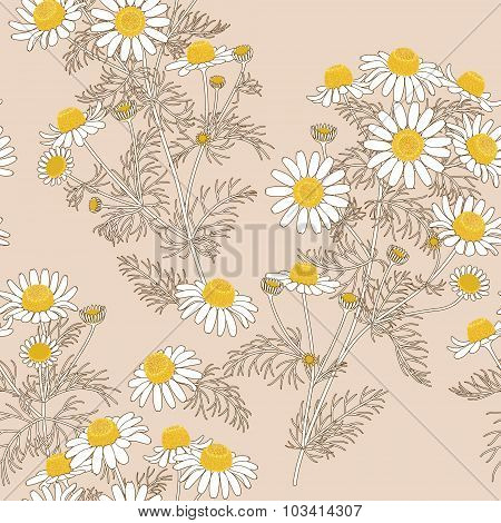 Chamomile Pattern On  Beige.