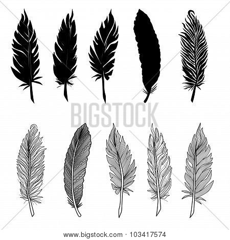 FEATHER.