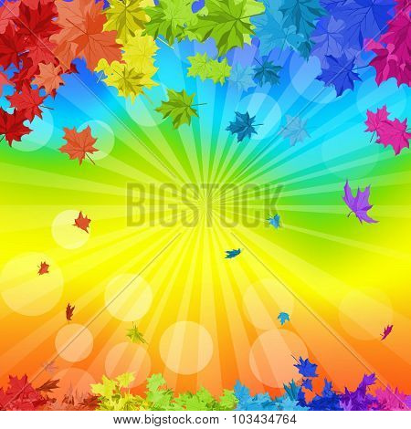 Rainbow Maple Leaves