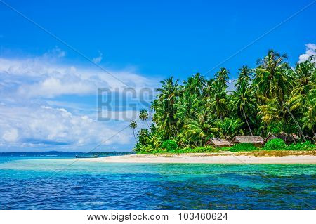 Tropical Island Landscape
