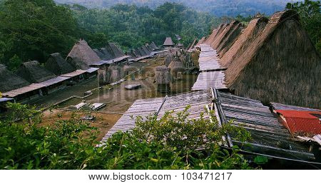 Village Bena