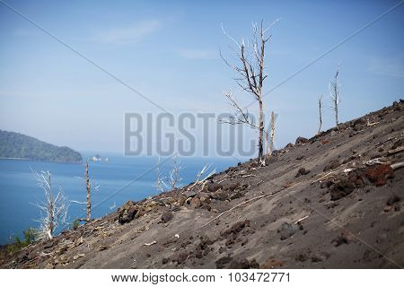 Anak Krakatau