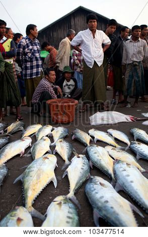 Fish Market In Sittwe, Myanmar