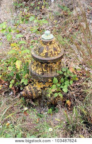 Forgotten Fireplug