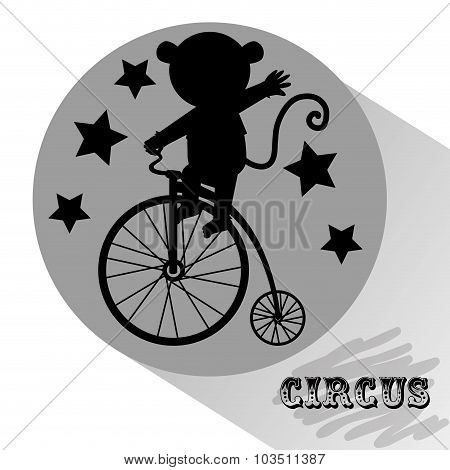 circus entertainment