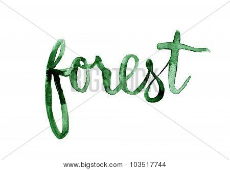 Forest hand lettering.