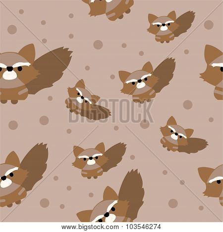 Little raccoon