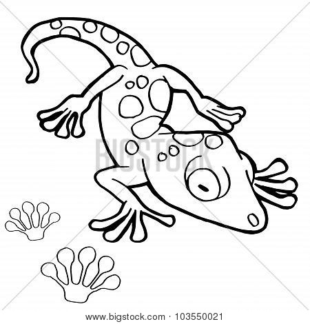 paw print with Gekko Coloring Page vector