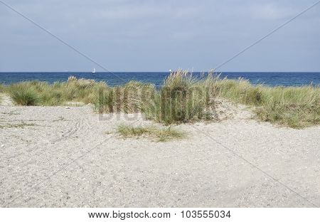 Sand Dunes In Autumn
