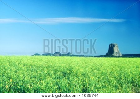 Devils Tower