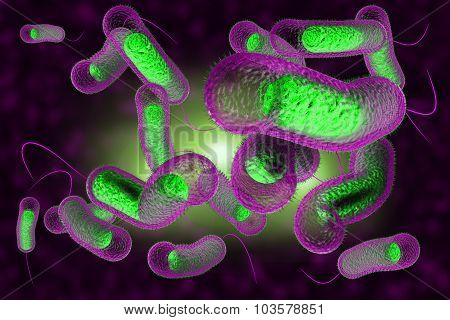 Close up 3D illustration of microscopic Cholera bacteria infection
