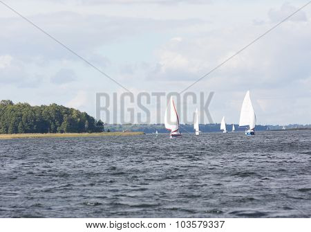 Sailboats On Lake
