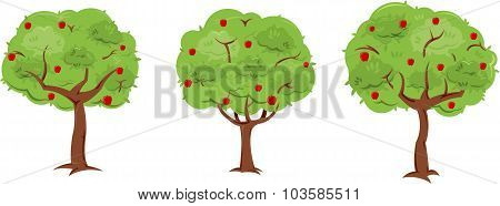 Apple Trees