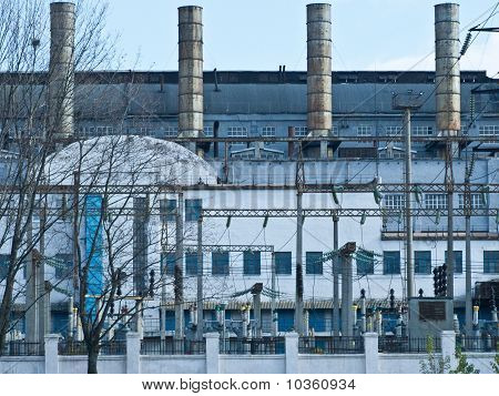 Termoelektrisk plante