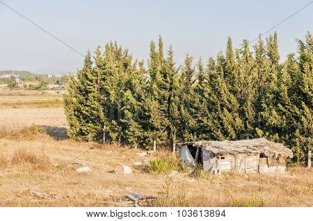 Abandoned Rural Shanty House