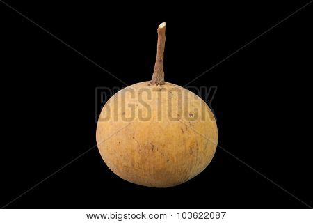 Santol Fruit Isolated On Black Background
