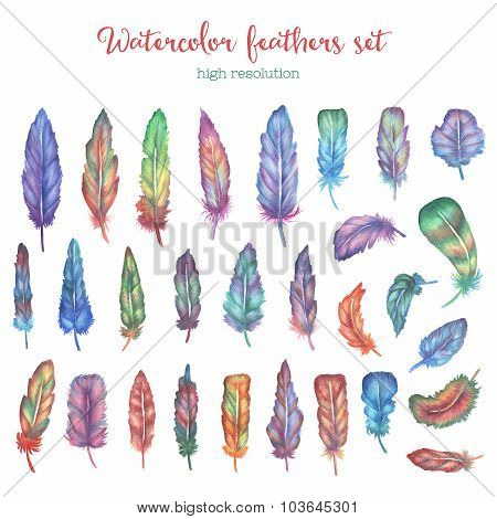 Watercolor feathers set in high resolution.