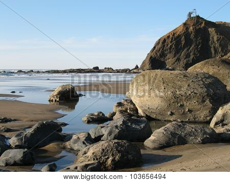 Sea Rocks Low Tide