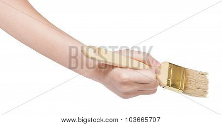 Painter Hand With Clean Flat Paintbrush