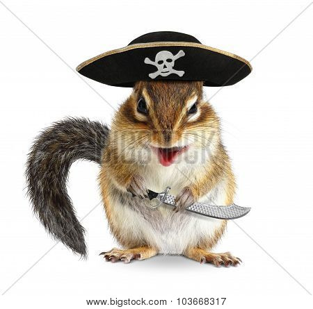 Funny Animal Pirate, Chipmunk With Filibuster Hat And Sabre