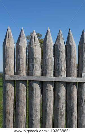 Limes palisade at Vielbrunn