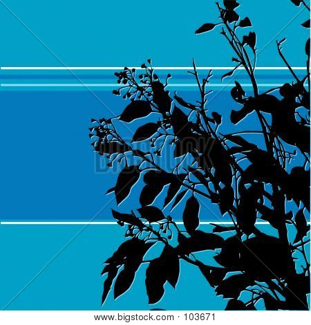 Plante