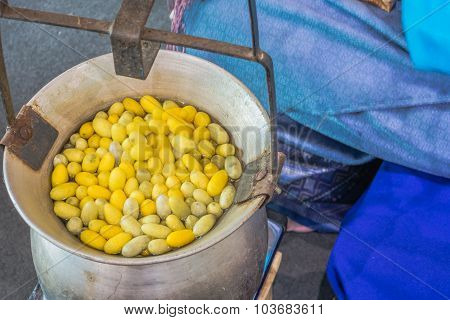 Silk Cocoon In Boiler