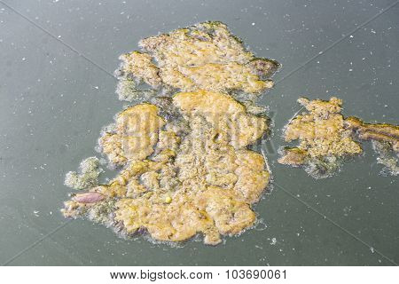 Waste Water, Pollution