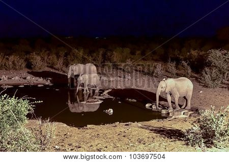 Watering Hole - Etosha, Namibia