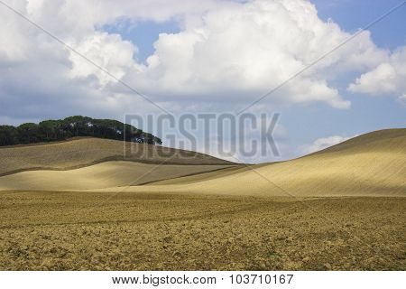 Tuscany field