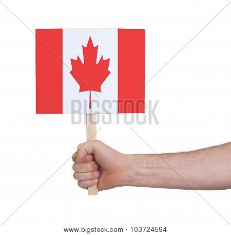 Hand Holding Small Card - Flag Of Canada