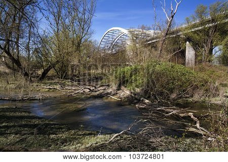 Nature Under The Bridge