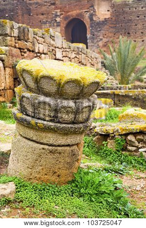 Chellah  In Morocco Africa The Old Roman Deteriorated