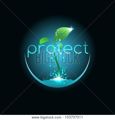 Protect For Seedling