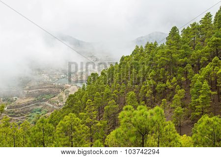 Gran Canaria, Nature Park Tamadaba